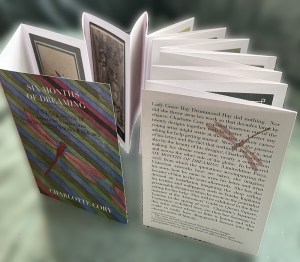 Six Months - a folding screen of Japanese Visitorians